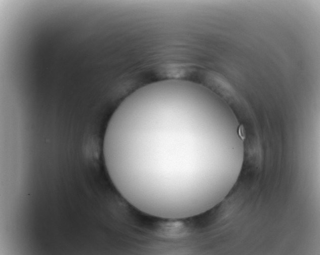 X0000089830374200707051043