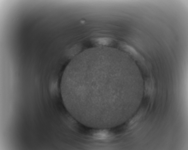 X0000089830377200707051043