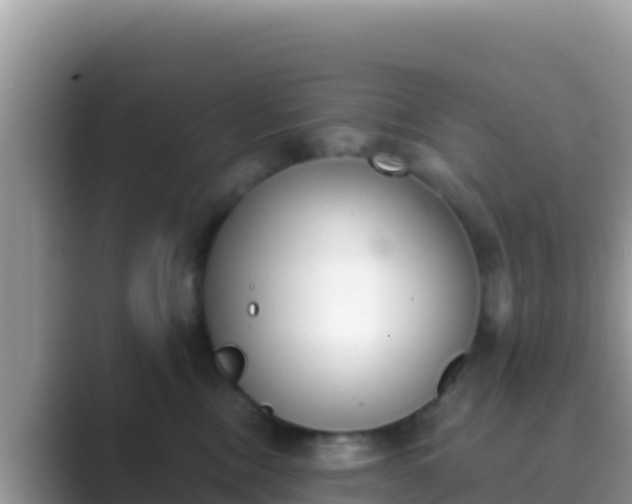 X0000089830378200707051043