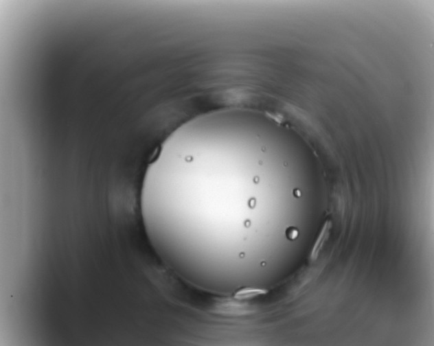 X0000089830380200707051043