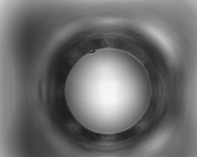 X0000089830382200707051043