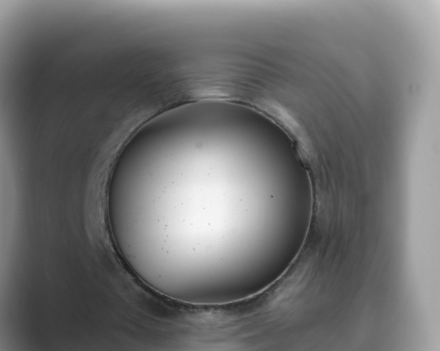 X0000089830385200707051042