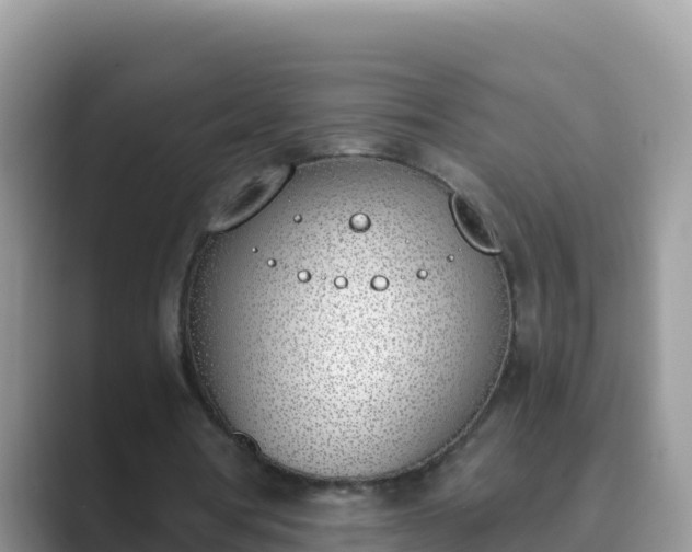 X0000089830386200707051042