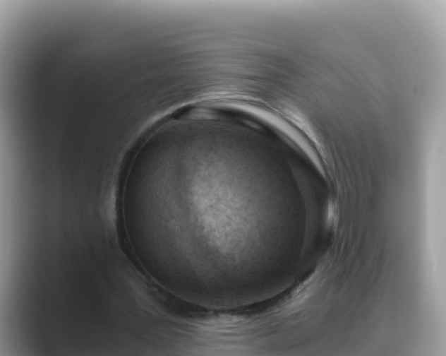 X0000089830387200707051042