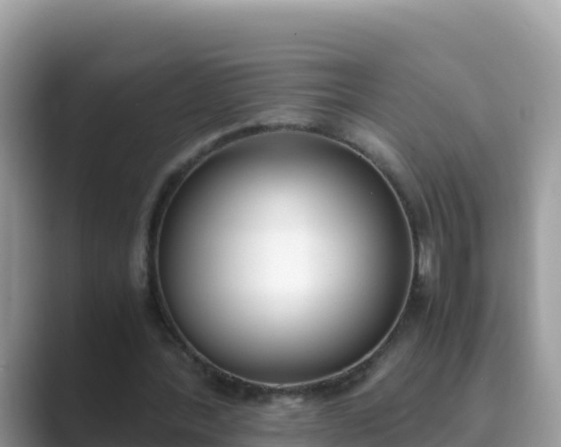 X0000089830388200707051042