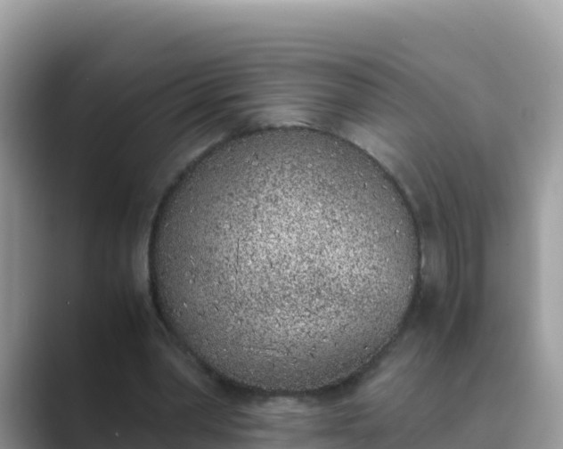 X0000089830390200707051042