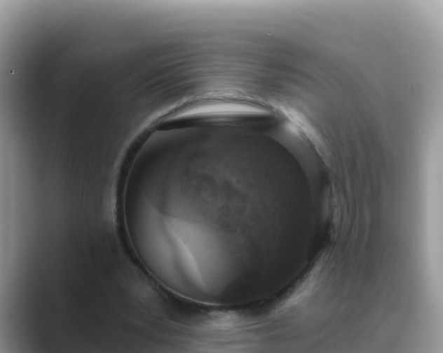 X0000089830391200707051042