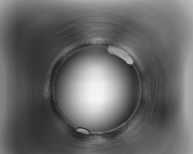 X0000089830392200707051042