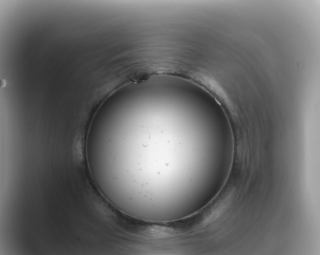 X0000089830393200707051042