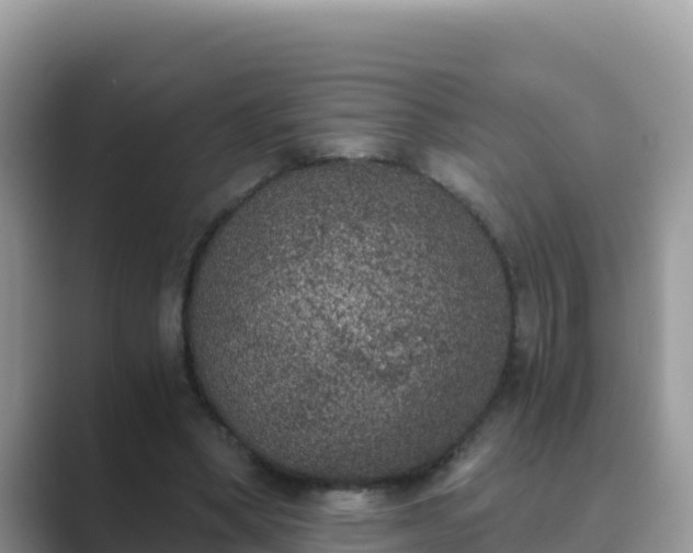 X0000089830394200707051042