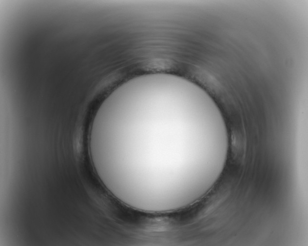 X0000089830396200707051042