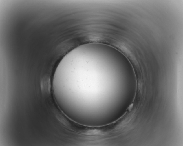 X0000089830397200707051042