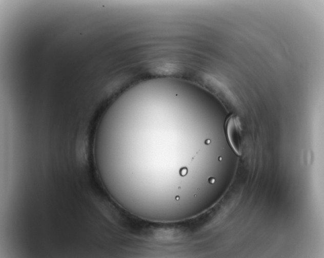 X0000089830400200707051042