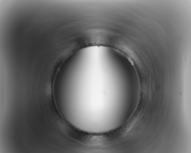 X0000089830401200707051042