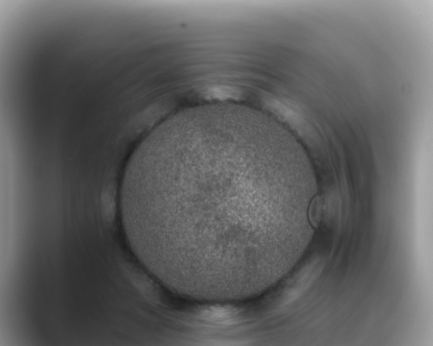 X0000089830402200707051042