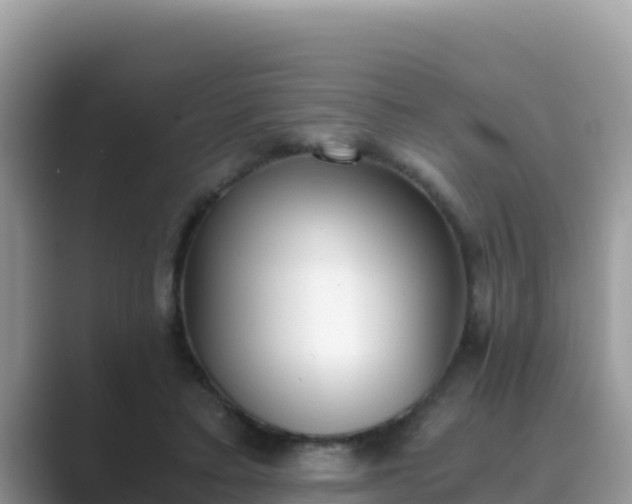 X0000089830403200707051042