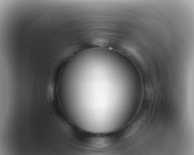 X0000089830404200707051042