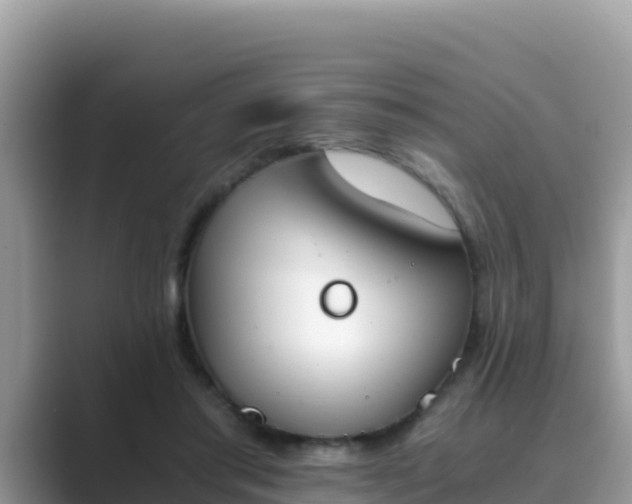 X0000089830405200707051042