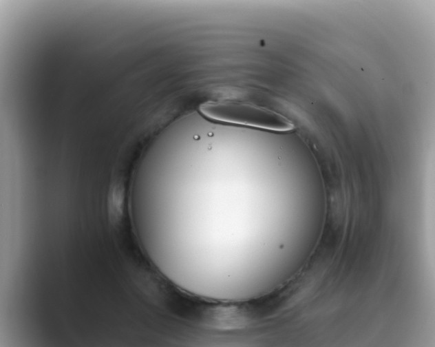 X0000089830406200707051042