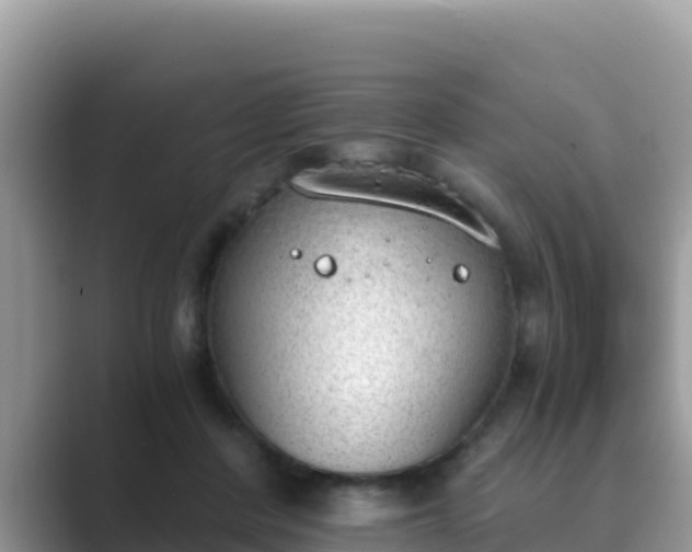 X0000089830408200707051042