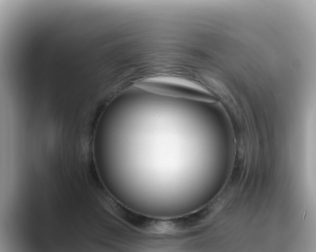 X0000089830409200707051042