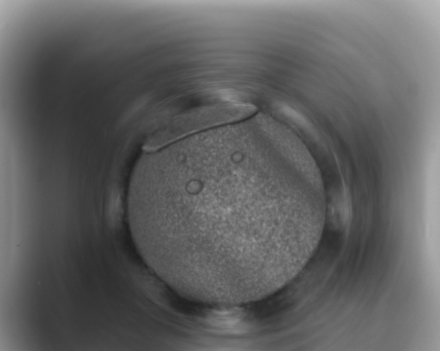 X0000089830410200707051042