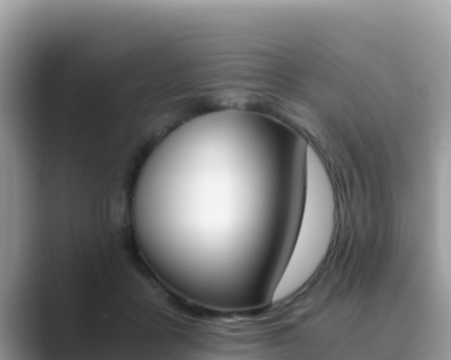 X0000089830411200707051042