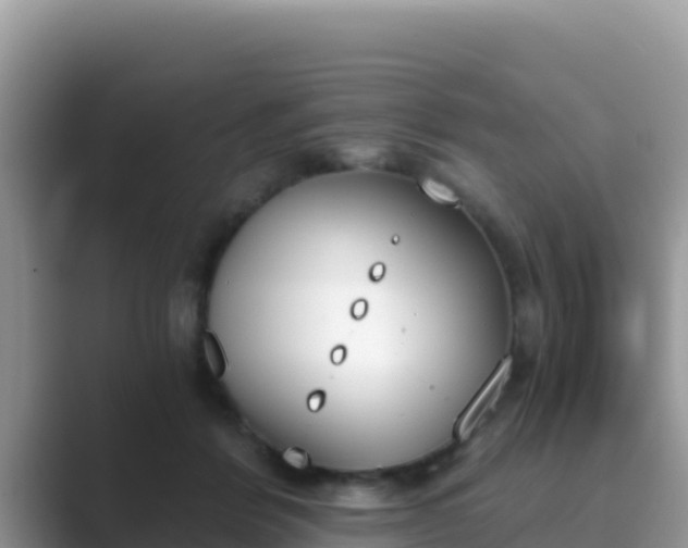 X0000089830412200707051042