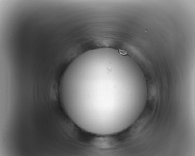 X0000089830414200707051042