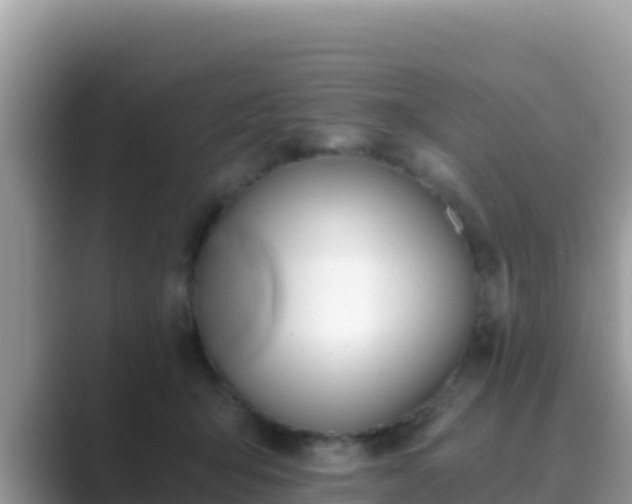 X0000089830415200707051042