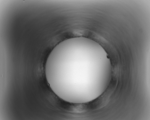 X0000089830418200707051042