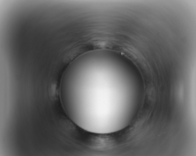 X0000089830420200707051042