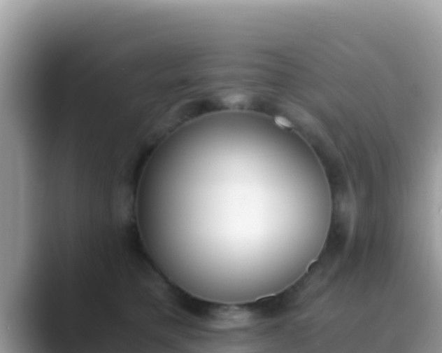 X0000089830421200707051042