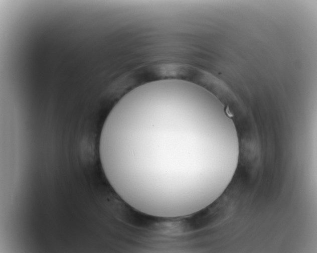 X0000089830422200707051042