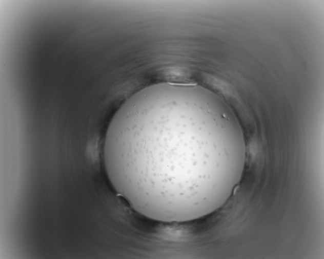 X0000089830423200707051042