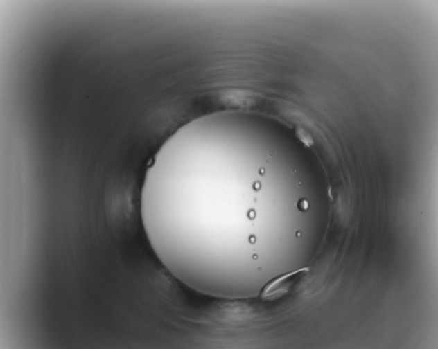 X0000089830424200707051042