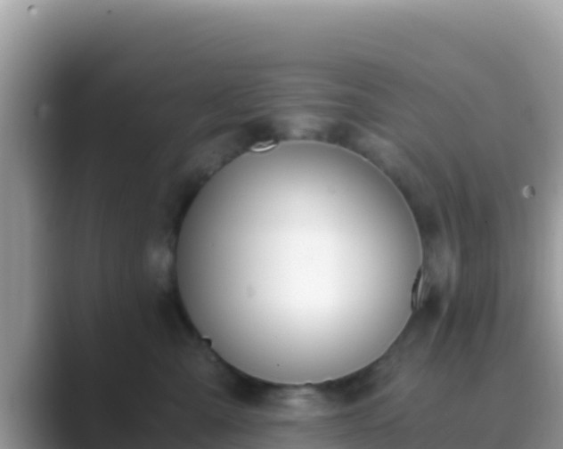 X0000089830427200707051042