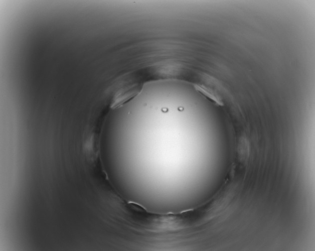 X0000089830428200707051042