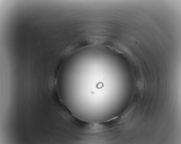 X0000089830429200707051042