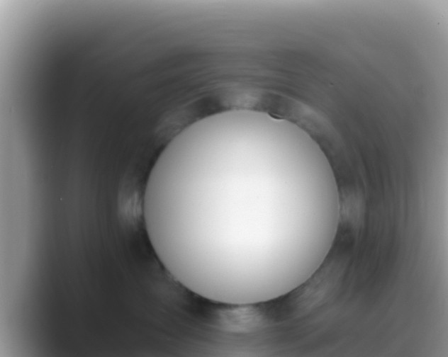 X0000089830431200707051042