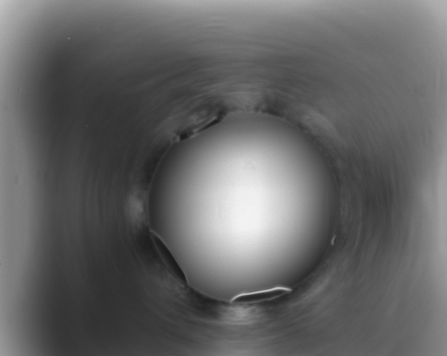 X0000089830432200707051042