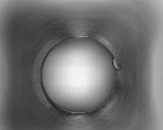 X0000089830433200707051041