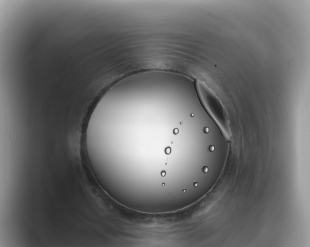 X0000089830434200707051041