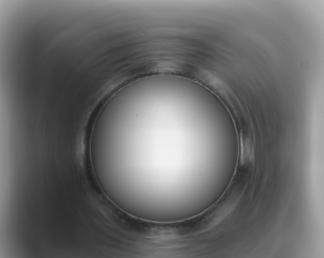 X0000089830435200707051041