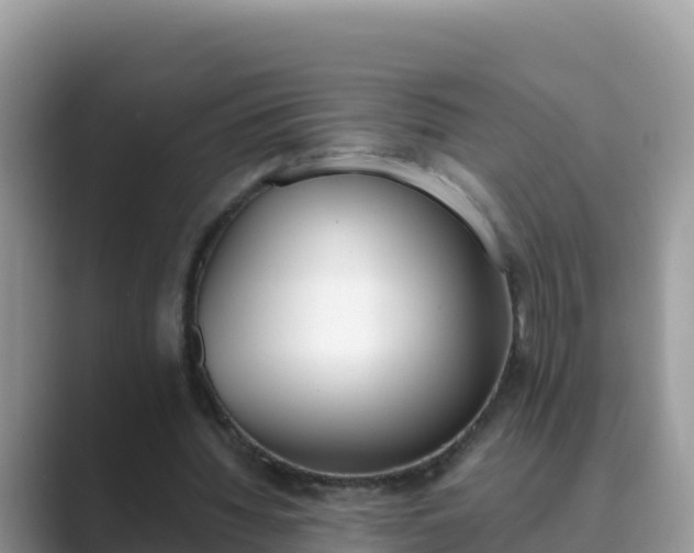 X0000089830436200707051041