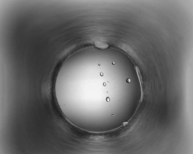 X0000089830440200707051041