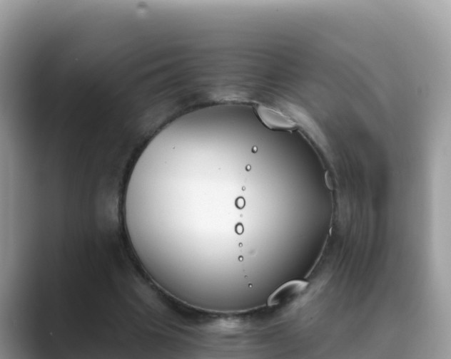 X0000089830441200707051041