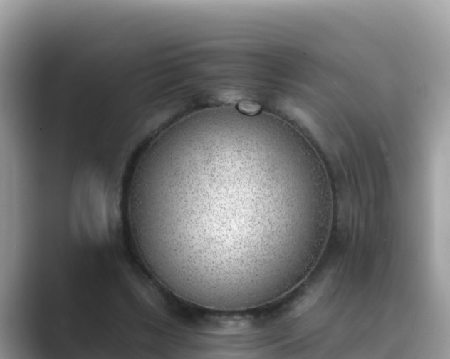 X0000089830443200707051041