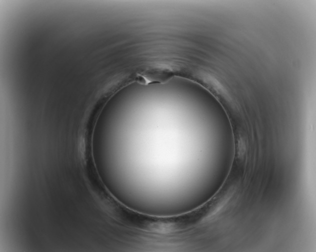 X0000089830444200707051041