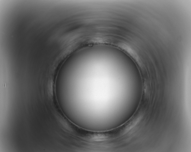 X0000089830445200707051041